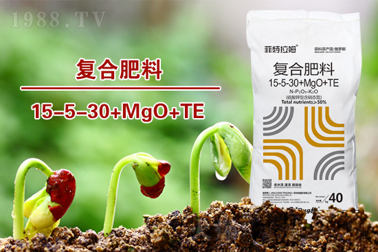 湖北:2022年春播玉米生產(chǎn)技術(shù)指導(dǎo)意見