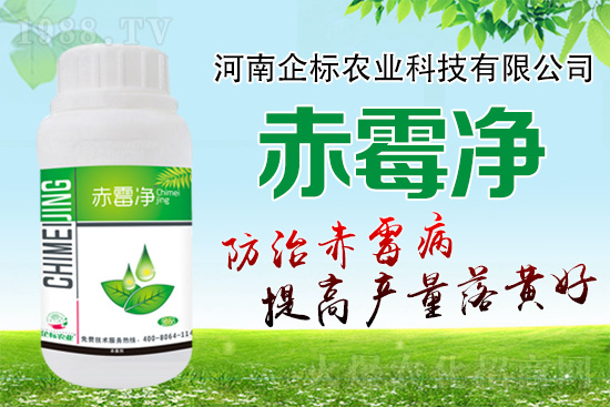 oѣδʮСùPIڣձץ