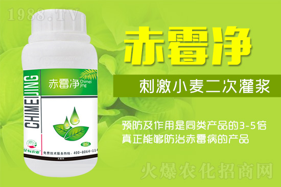 oѣδʮСùPIձץ