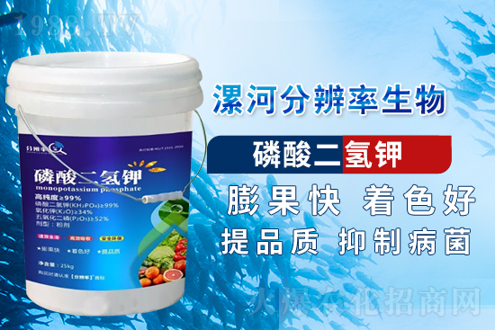 ~ʵćʩ`^(q)@c(din)eˣ