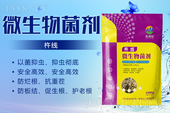 作物的根系,決定作物的產(chǎn)量