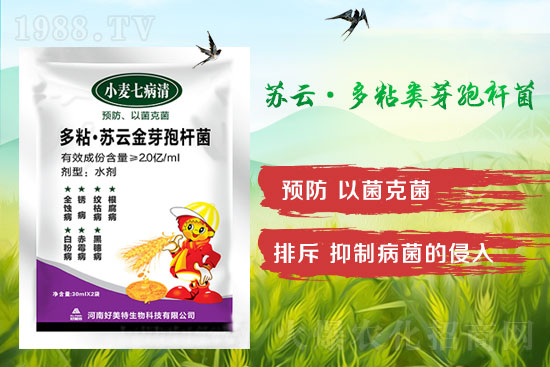 四月小麥赤霉病多發(fā),不要錯(cuò)過防治時(shí)間!