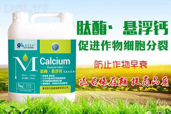 O仨a}PIOa}Ă`^(q)֪