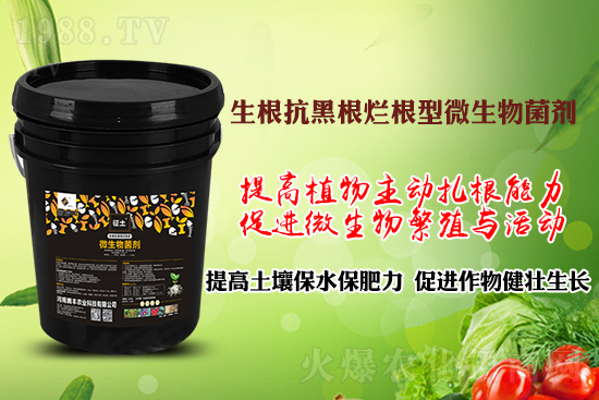 ڸSll(f)ápɽQfNֲ