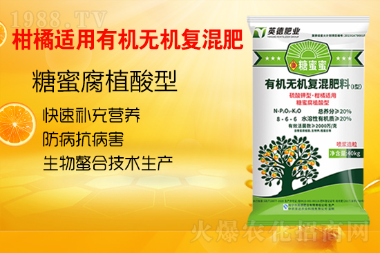     ʩʳҊ`^(q)ЩοƌW(xu)ʩ