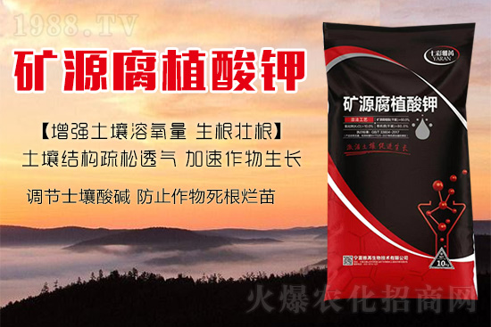 作物種植操作不當易傷根!怎樣改善根系狀況呢?