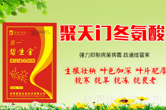 HHЧTṦЧRһͶ