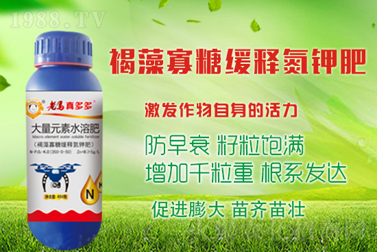 ߮a(chn)^ʩЩʩ