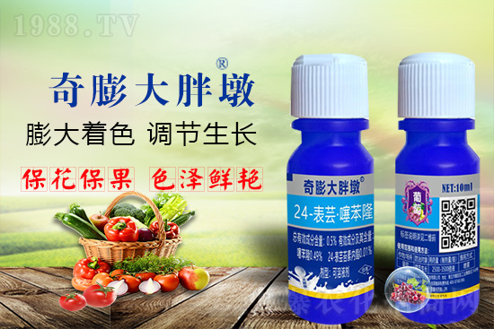     Ҫ߮a(chn)P(gun)ID(zhun)ɫuѣڵĮa(chn)Ʒ|(zh)SĹr(nng)r(nng)ӳԼҵסܛչrll(f)