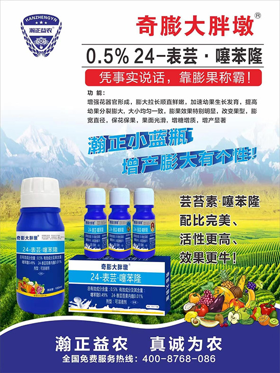     Ҫ߮a(chn)P(gun)I졢D(zhun)ɫuѣڵĮa(chn)Ʒ|(zh)SĹr(nng)r(nng)ӳԼҵסܛչrll(f)