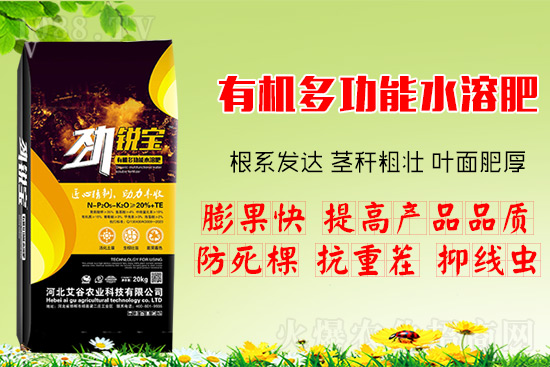 (sh)׷ʺP(gun)IɆʩأˮܷa(b)I(yng)B(yng)ȫ