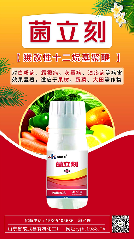 ˪ù߀ǰ׷۲eɵɵֲηֱ漰