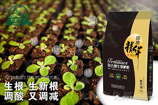 ѹôA(y)˽@ЩϝLLƷ|(zh)