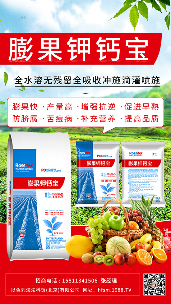 M(jn)ֵ@(g)ֵÓ