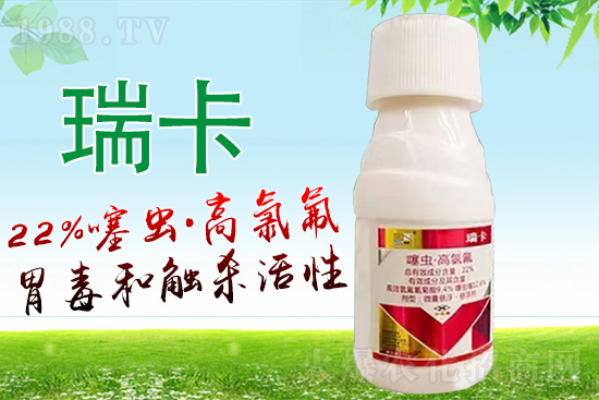 山東百農(nóng)思達生物科技有限公司12