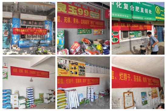 “植物癌癥-病毒病”被攻克了!純中草藥“殺菌霸主”