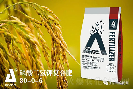 水稻分蘗不好對產(chǎn)量有多大影響?促進(jìn)水稻分蘗怎么做?