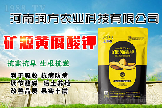 VԴS⛞ʲôţôòЧ