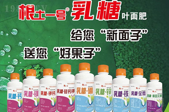 獼猴桃需肥特點有哪些?獼猴桃膨大肥怎么施