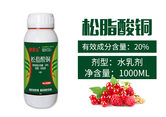 _(ki)WƼ޹˾-863315_02