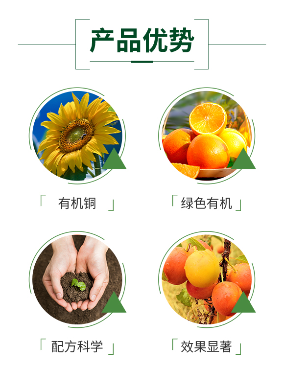 _(ki)WƼ޹˾-863315_03