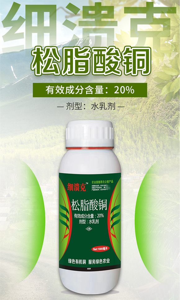 _(ki)WƼ޹˾-863315_01