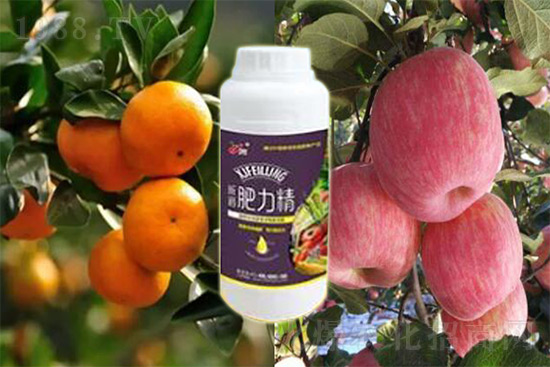 ׷ʏ(f)Ϸʺ߀غܶ˶eˣ_x