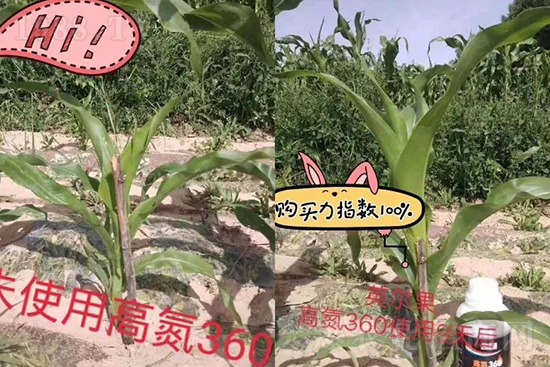 ҺwЩ(yu)c(din)Һw׷ʆ