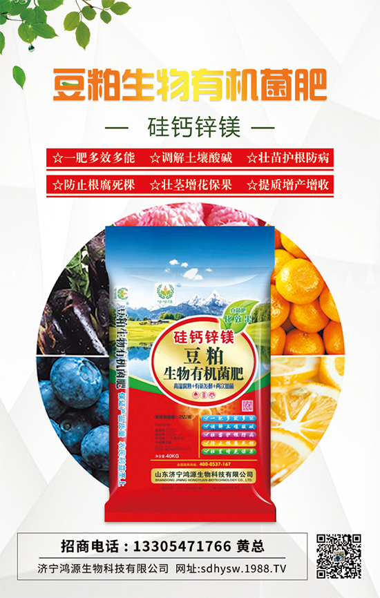 作物出現根腐死棵怎么辦?掌握這一招輕松解決!