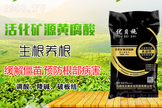礦源黃腐酸鉀你了解多少?礦源黃腐酸鉀遇見微生物菌劑有啥奇妙反應(yīng)?