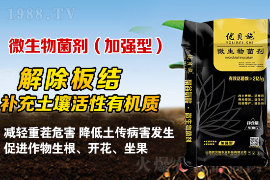 礦源黃腐酸鉀你了解多少?礦源黃腐酸鉀遇見微生物菌劑有啥奇妙反應(yīng)?