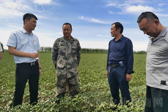 r(nng)½k̎ؓ(f)؟(z)ˣͬ·ͬйl(f)չ