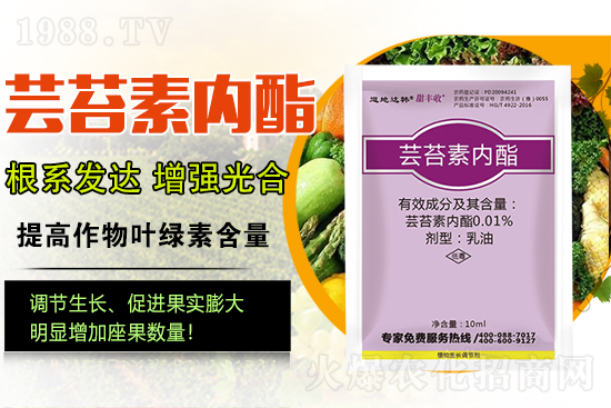 |̦؃(ni)ɶQֲˎ|̦؃(ni)ôx