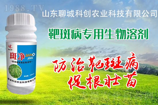 黃瓜靶斑病危害逐年加重!防治措施有哪些?