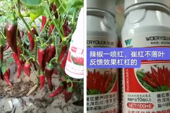 t95%߼t~뷭׷һt