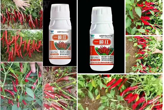 t95%߼t~뷭׷һt