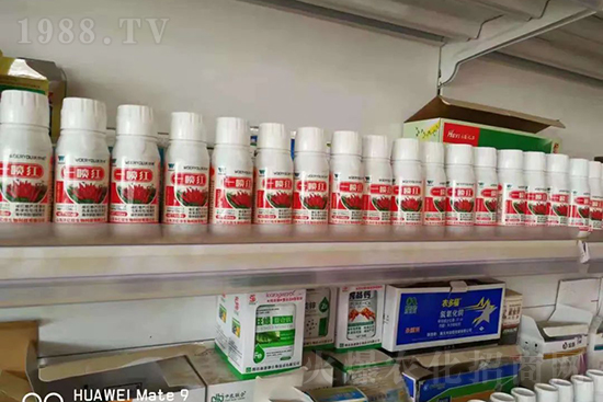 t95%߼t~뷭׷һt