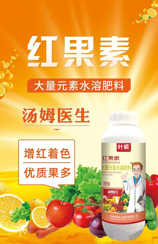 tءֻD(zhun)ɫD(zhun)ɫߣ߼tó