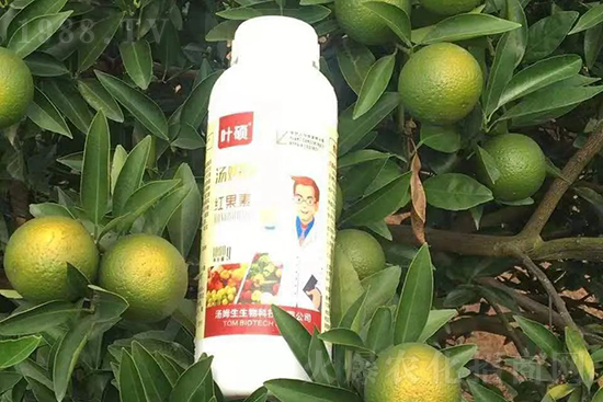 tءֻD(zhun)ɫD(zhun)ɫߣ߼tó