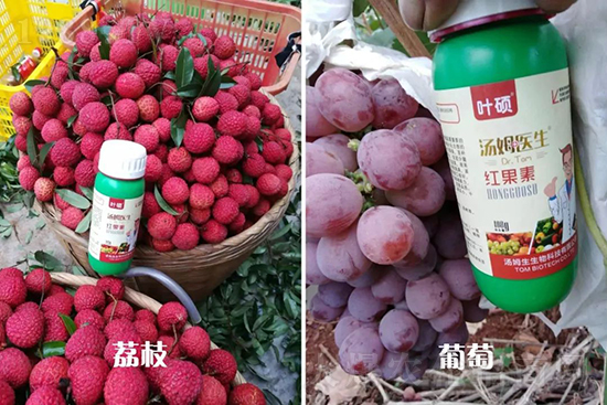 tءֻD(zhun)ɫD(zhun)ɫ졢߼tó