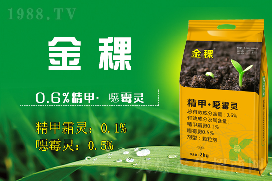 սv1988.TV_W(wng)j(lu)