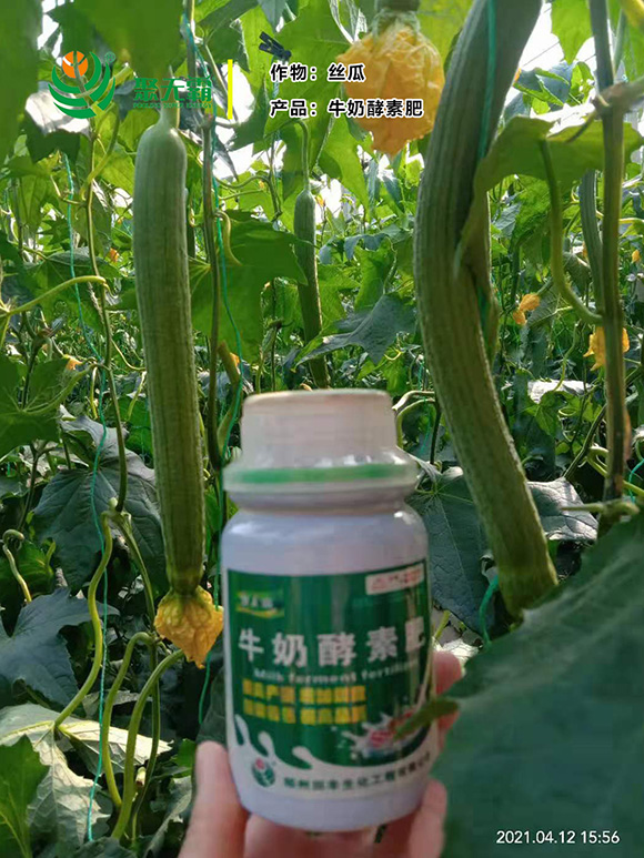 牛奶酵素肥-聚無霸5