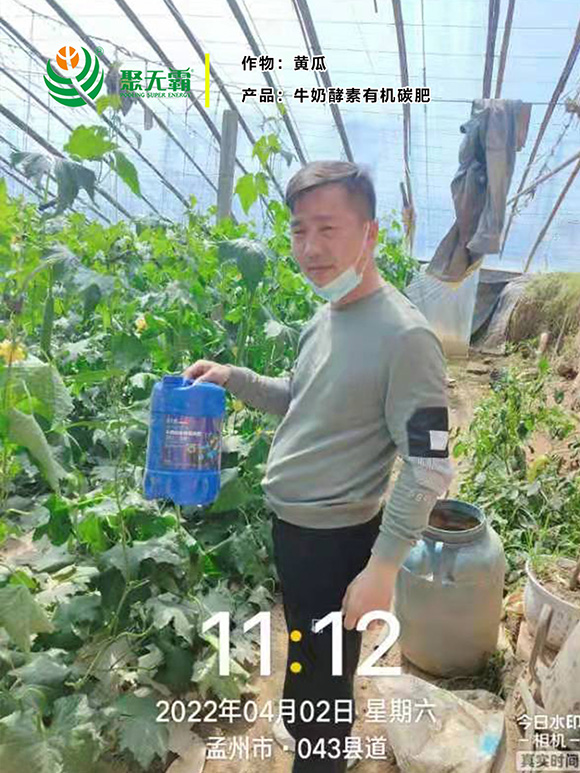 牛奶酵素有機(jī)碳肥-聚無(wú)霸2