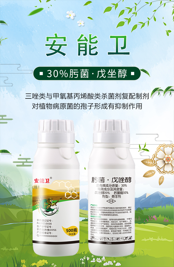 ɽ|(yu)_ֲﱣo޹˾14