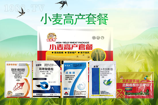 河北碧幫農(nóng)業(yè)科技有限公司4