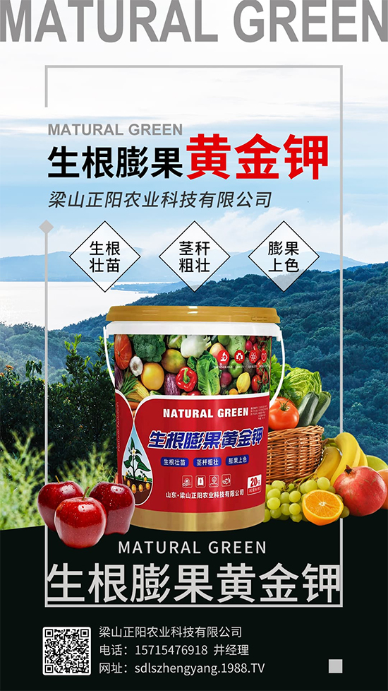 梁山正陽(yáng)農(nóng)業(yè)科技有限公司6