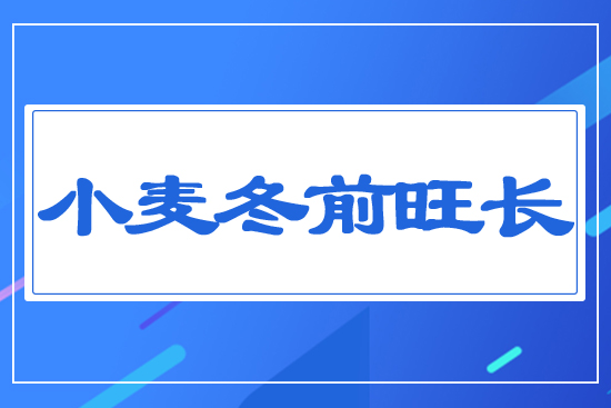 小麥冬前旺長(zhǎng)
