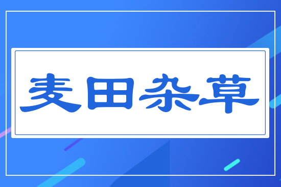 麥田雜草