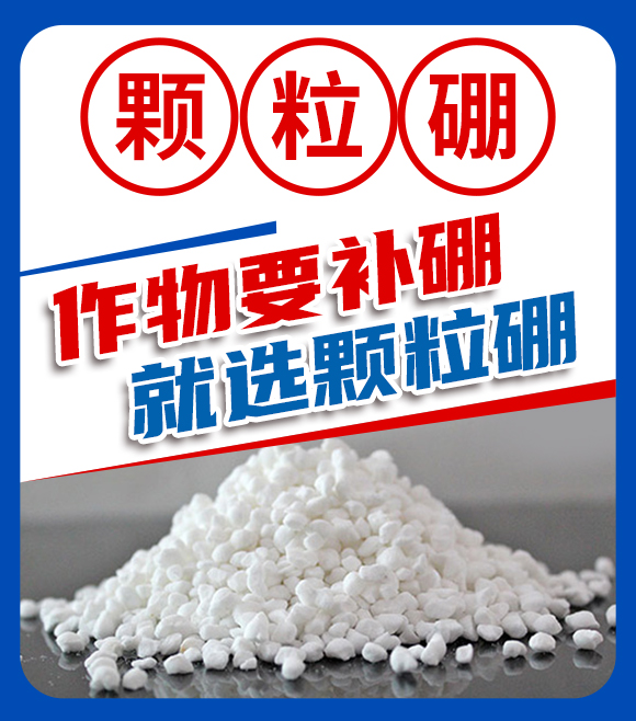 山東金潤梓生物科技有限公司-手機(jī)站(高清)