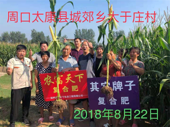 (zhun)͏(f)Ϸ17-17-17-r(nng)6